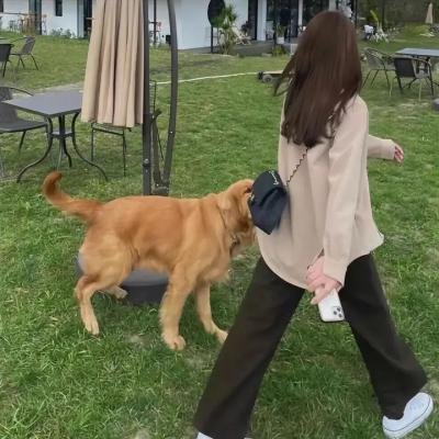 问天何时明